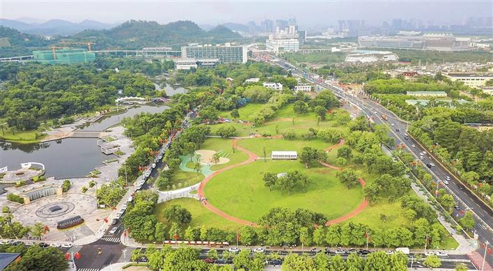 坪山区中心公园大草坪全新亮相