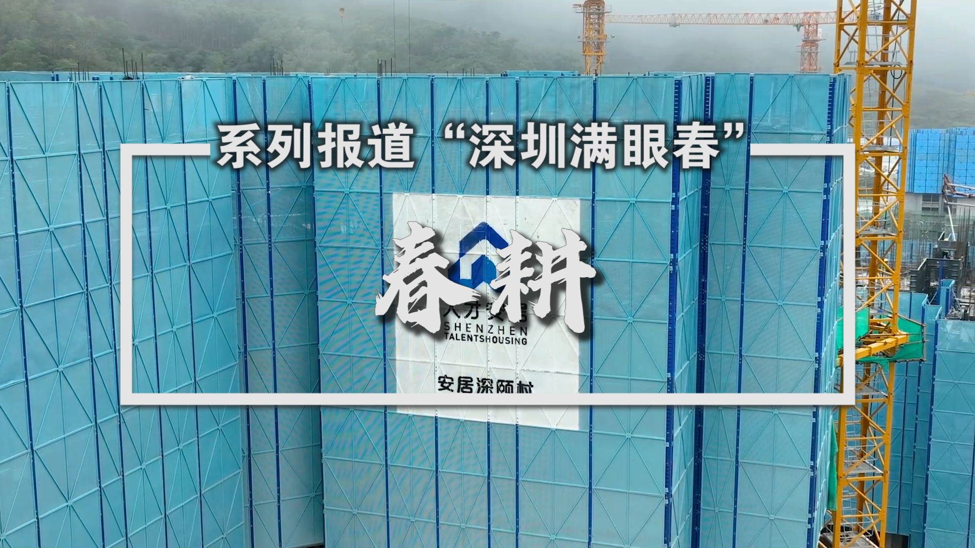 “深圳满眼春”：各区建设现场抓紧时机“春耕”