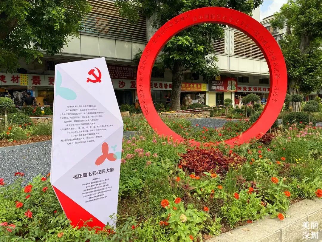 美了美了！这条大道藏着一个彩色花园，就在......

